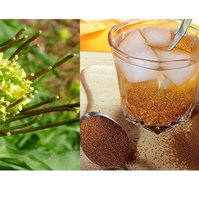 Treating Diarrhea with Khakshir in Traditional Medicine: Scientific Review of Benefits and Usage Method!