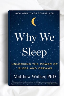 Why We Need Sleep? Book Extract