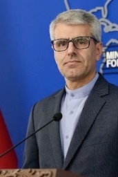 Iran blasts U.S. for Issuing Sanctions against U.N. investigator Albanese