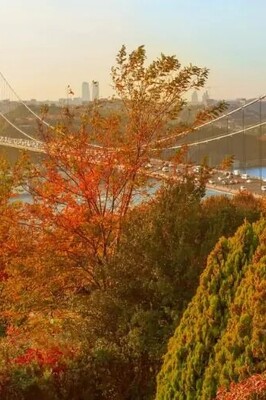 Viral Video Showcasing the Breathtaking Autumn Beauty of One of Turkey's Paradise-Like Regions