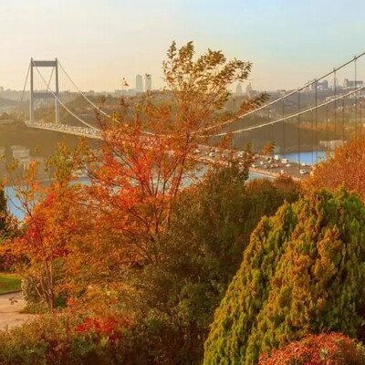 Viral video Showcasing the Breathtaking Autumn Beauty of One of Turkey's Paradise-Like Regions.