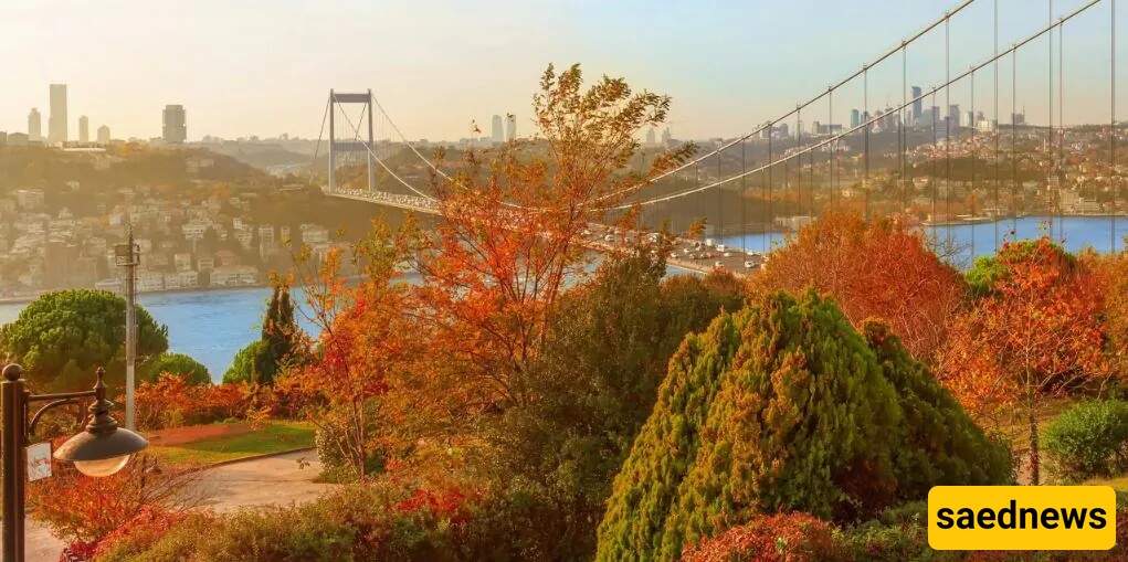 Viral video Showcasing the Breathtaking Autumn Beauty of One of Turkey's Paradise-Like Regions.