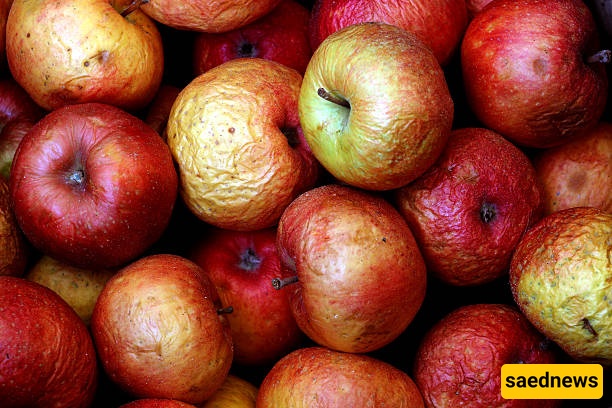 apples
