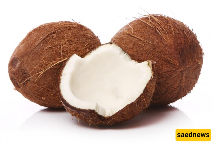 The Benefits of Coconut During Pregnancy for the Health of the Mother and Baby: Weight Control, Blood Sugar Management, and More