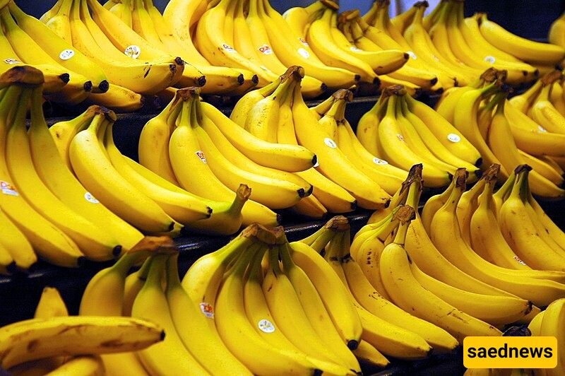 Bananas Are Berries? The Science Behind This Fruity Surprise