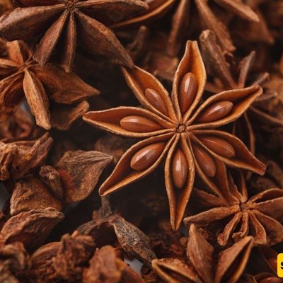 Scientific Benefits of Anise for the Body: 10 Evidence-Based Benefits and Important Consumption Tips