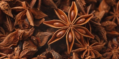 Scientific Benefits of Anise for the Body: 10 Evidence-Based Benefits and Important Consumption Tips