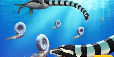 Discovery of a 12-Meter Monster That Had Lurked in the Depths of the Ocean for Millions of Years! This Terrifying Creature Finally Revealed Its True Face After 85 Million Years!