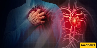 Causes of Heart Problems and Ways to Prevent Cardiovascular Disease