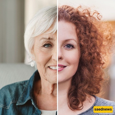 The Consequences of Ageism or Age Discrimination