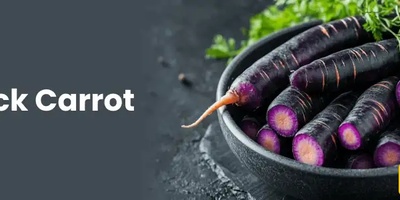 The Surprising Benefits of Black Carrot That Nutrition Experts Rarely Mention
