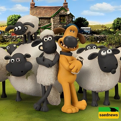 Video | The Strange Secrets Behind the World of Animation — Who Would Believe They Created ‘Naqola’ with This Level of Creativity!