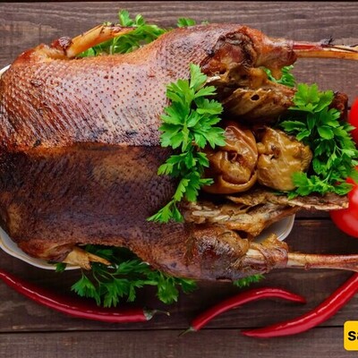 From Ancient Rome to Modern Tables: The Fascinating History of Duck Meat