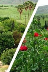 Baq-e Cheshmeh Belghis in Charam: A Picturesque Spot Perfect for Nowruz Visitors 🌸