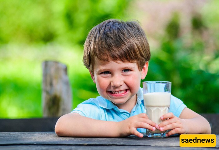 Top 5 Benefits of Milk for School-Age Children, You Must Know As A Parent!