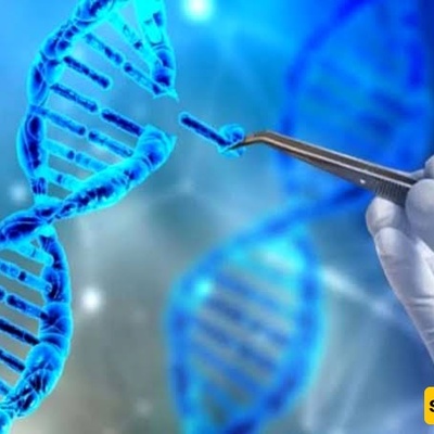 Gene Therapy: A Modern Approach to Treating Diseases by Modifying Defective Genes