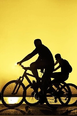 Popularity of Iranian Fitness Trends