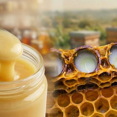 Royal Jelly: Everything You Need to Know About the Queen Bee’s Food (Hach Land Review)