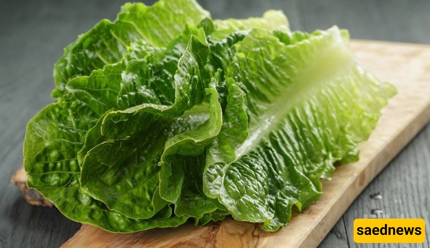 Lettuce