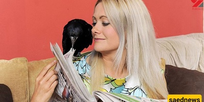 Husband Objects to Wife’s Romantic Affair… With a Crow
