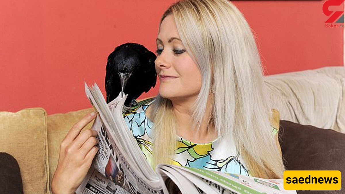 Husband Objects to Wife’s Romantic Affair… With a Crow