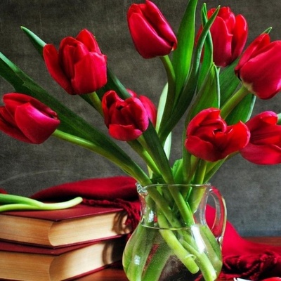 Guide to Buying Tulips for the Home and Their Long-Term Care Methods