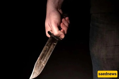 Murder of a Young Woman in Shahrekord by a Ride-Hailing Taxi Driver