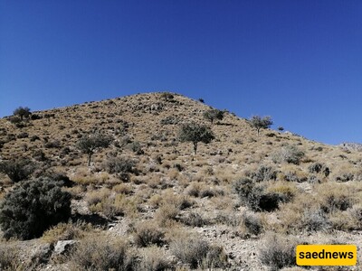 Khabr National Park: Iran’s Wilderness at Its Best