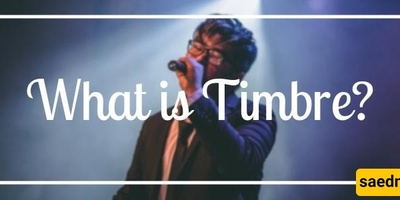 Timbre or Tone Color in Music and Its Significance