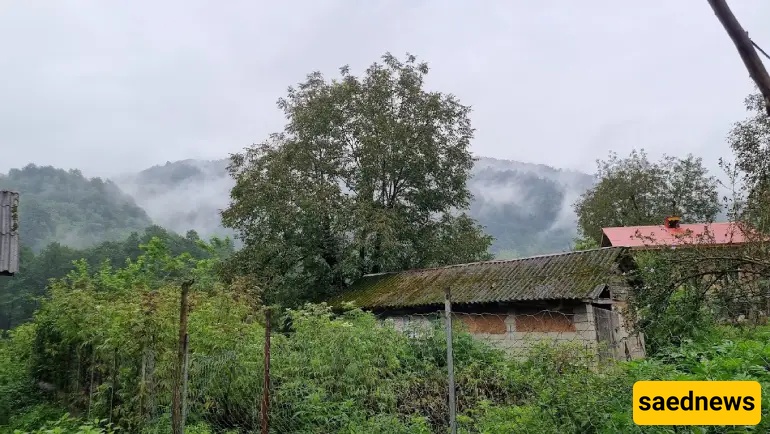 carvansarai titi