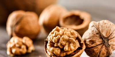 How Can We Quickly Distinguish Iranian Walnuts From Chinese Walnuts? 🧆