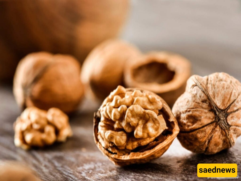 How Can We Quickly Distinguish Iranian Walnuts From Chinese Walnuts? 🧆