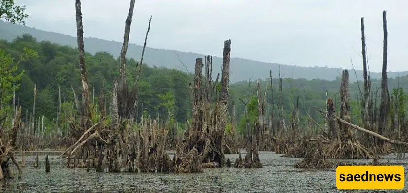 Mamraz Lake