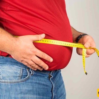 Are the Internal Organs of Obese People Larger?
