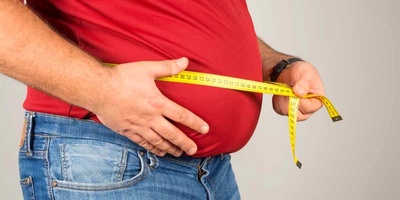 Are the Internal Organs of Obese People Larger?
