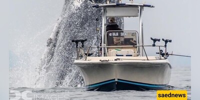 [SHOCKING VIDEO] Giant Whale Capsizes Fishing Boat | The blond child was horrified!