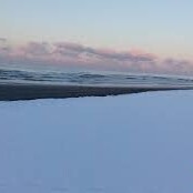 The Birth of a Strange Animal as White as Snow + photo