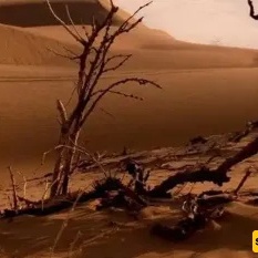 Discover Iran’s Paper Desert!
