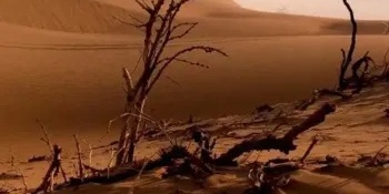 Discover Iran’s Paper Desert!