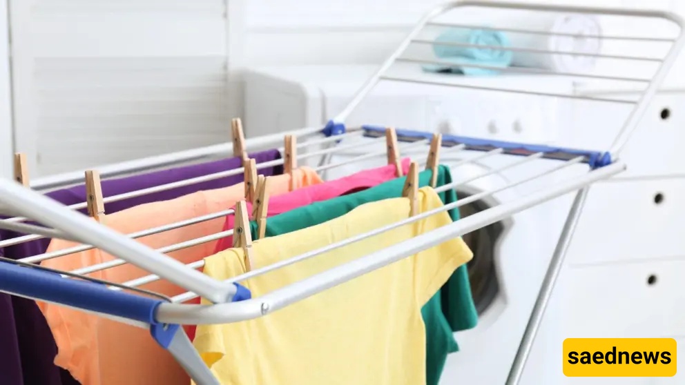 clothes