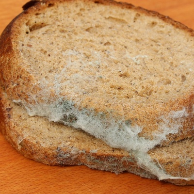 Why Do Some Foods Spoil Faster At Home?