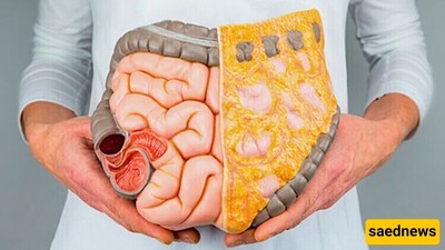 Everything about the side effects and uses of Laxigel or magnesium hydroxide syrup