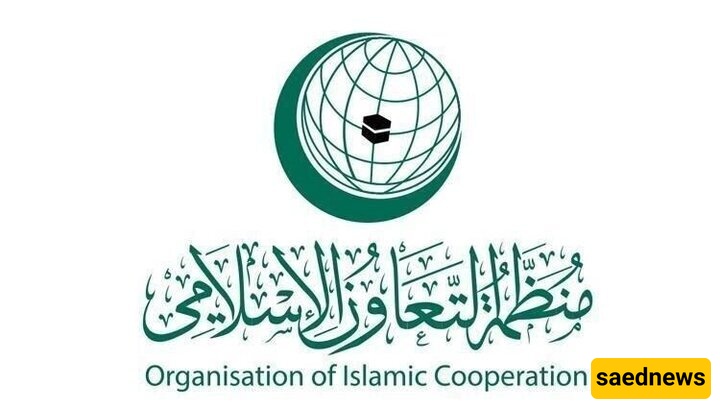 OIC Condemns Israeli Regime's Decision to Occupy Gaza