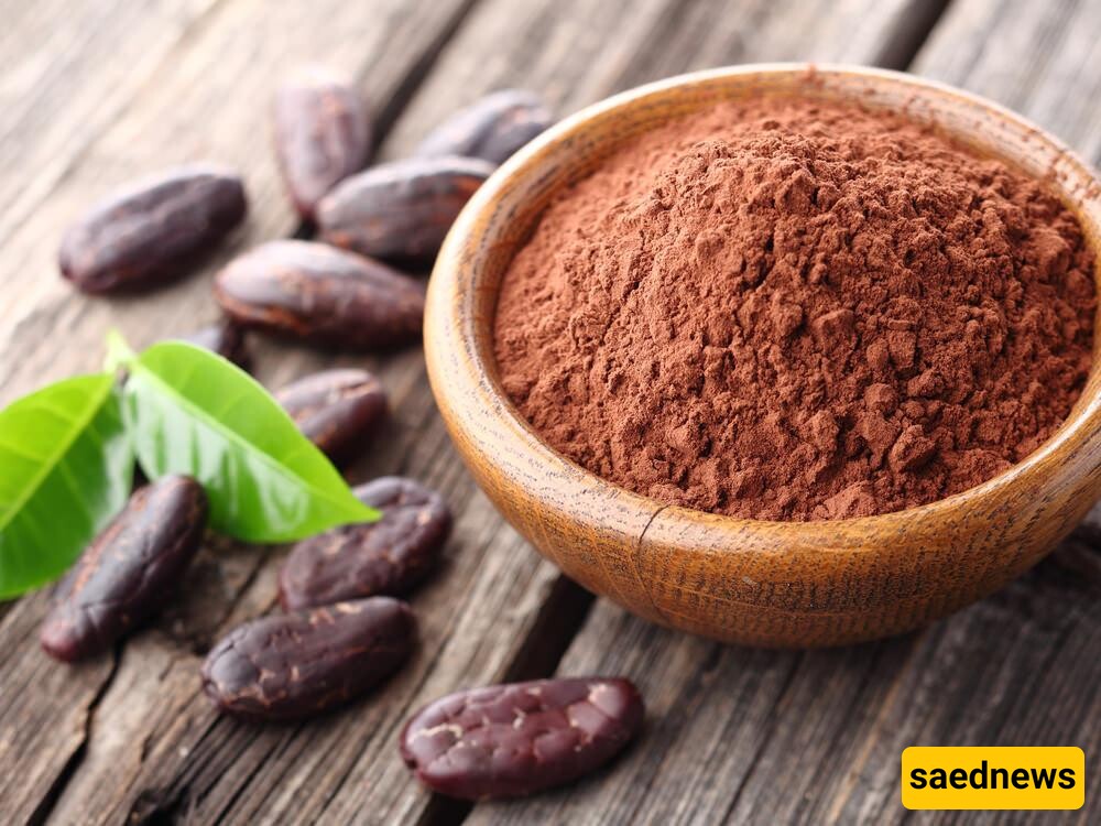 Cocoa Powder