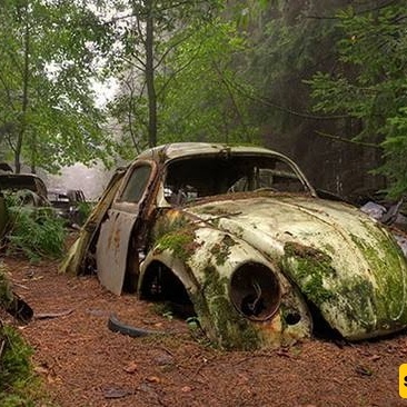 Discover Belgium’s Abandoned Car Cemetery!