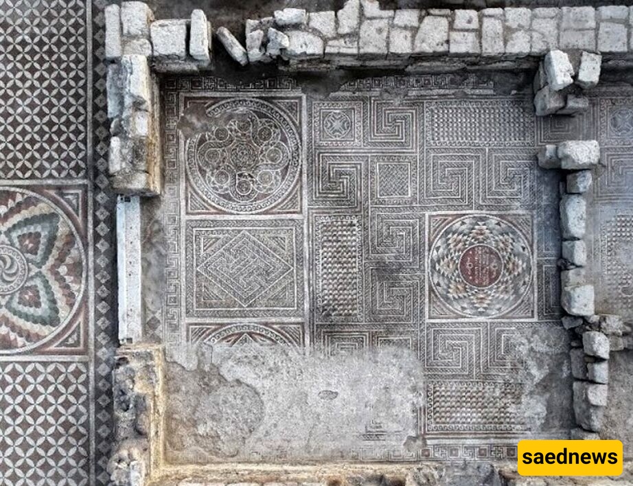 Massive Ancient Mosaic with Stunning Design Unearthed in Turkey [Photos]