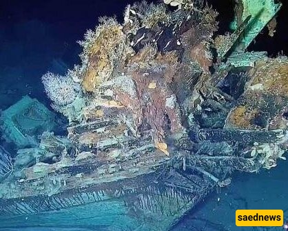 Colombia Raises 'Humanity’s Greatest Treasure' from the Depths