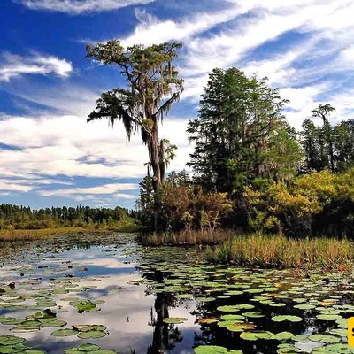 Andaman Islands: A Tropical Paradise for Nature, Adventure, and Relaxation