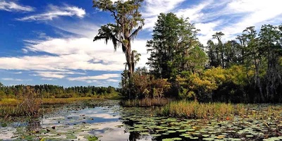 Andaman Islands: A Tropical Paradise for Nature, Adventure, and Relaxation