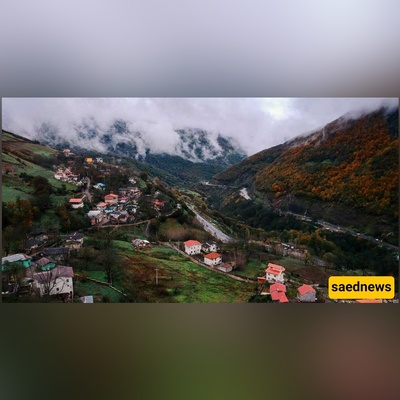 This Iranian Forest Rides an Ocean of Clouds(You Have to See It to Believe It)